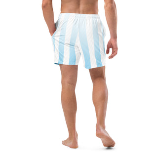 Blue Stripes Swim Trunks