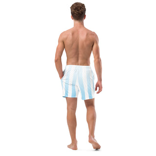 Blue Stripes Swim Trunks FORTITUDE Store