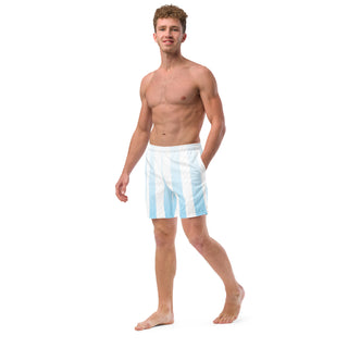 Blue Stripes Swim Trunks FORTITUDE Store